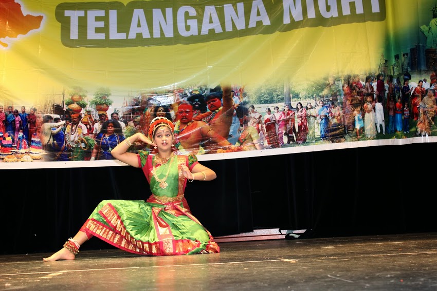PTA TELANGNA NIGHT - 2014